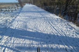 IMG_4305.jpeg
