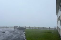 IMG_2481.jpeg