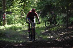 IMG_3609.jpeg